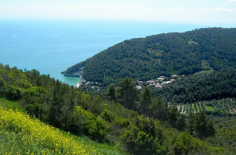 Villa Zagare Mattinata Luaran gambar